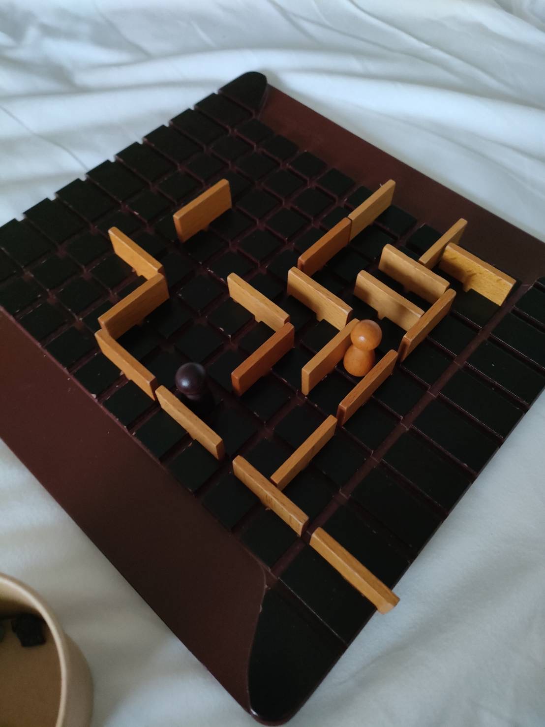 ボードゲーム「コリドール」を遊ぶ様子