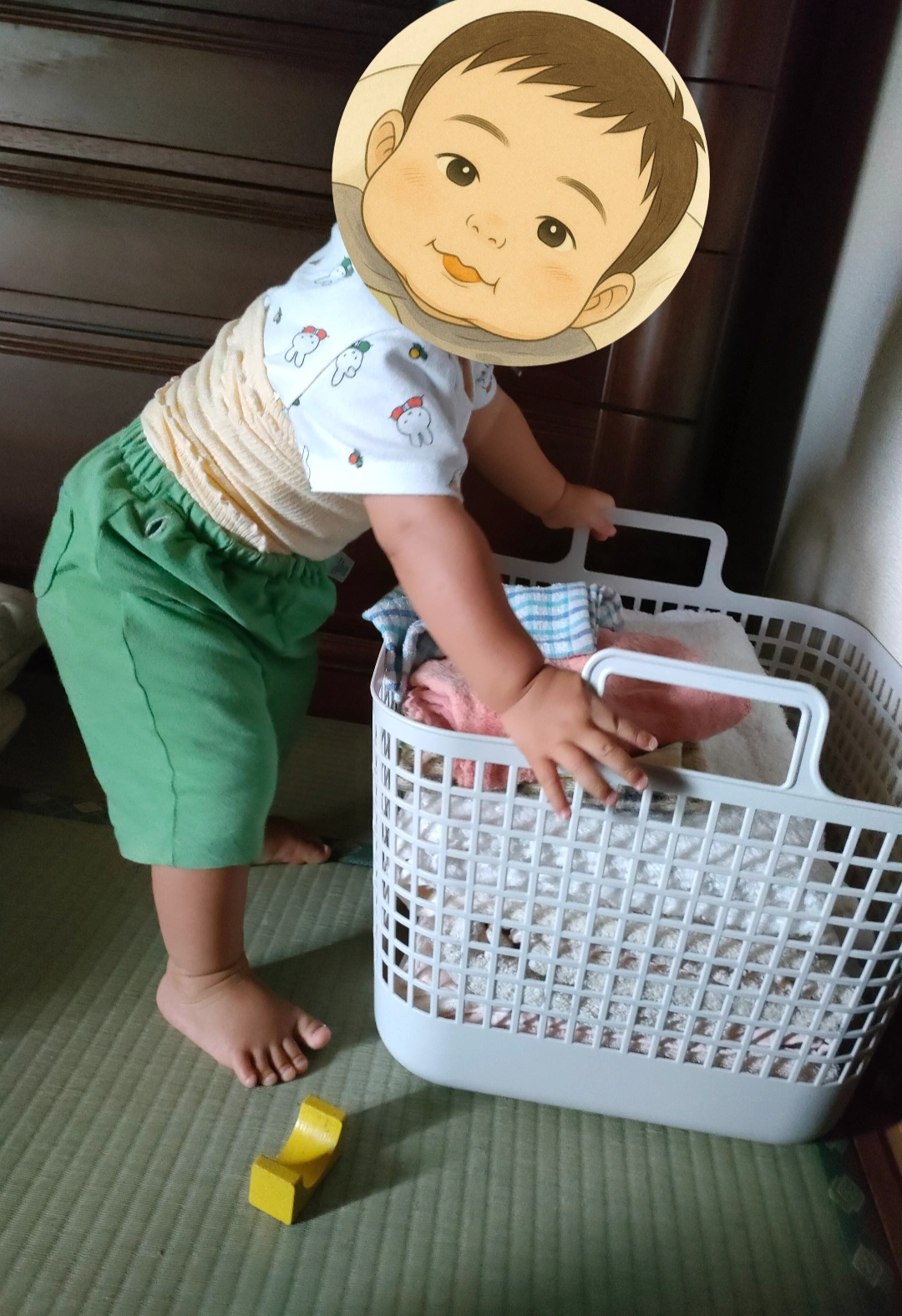 洗濯カゴで遊ぶ、ちゃ太郎