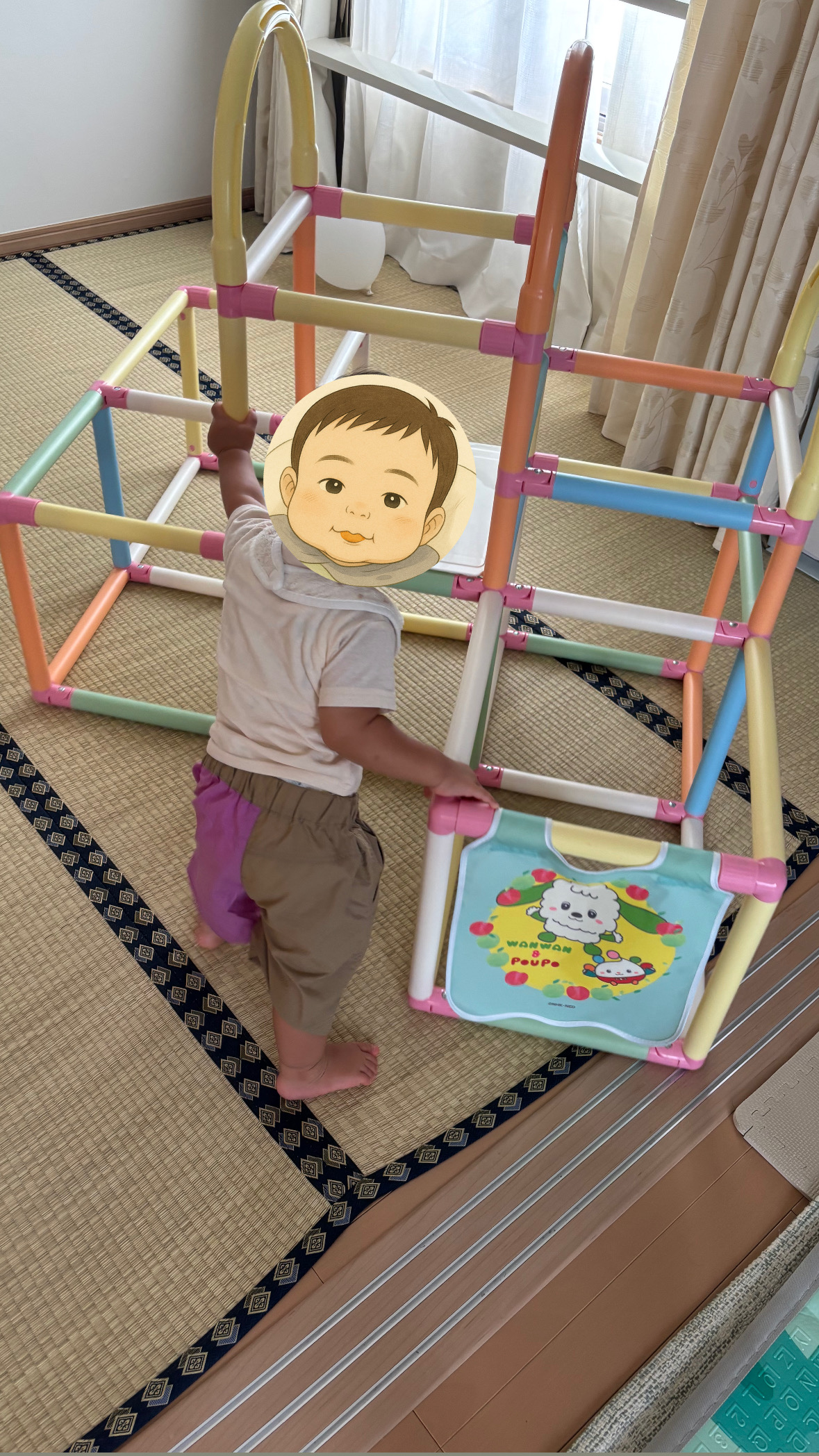 ちゃ太郎がジャングルジムで遊ぶ姿