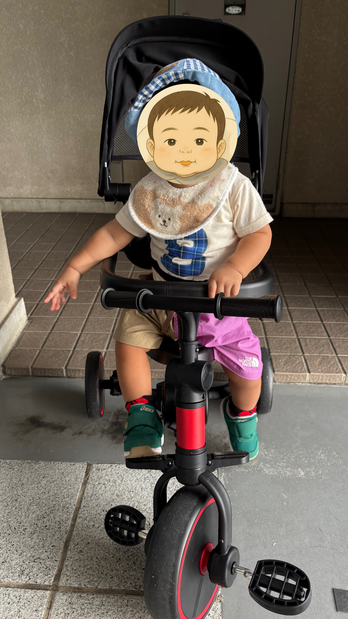 ちゃ太郎が自転車に乗る